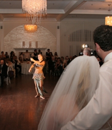 Performing at a Wedding